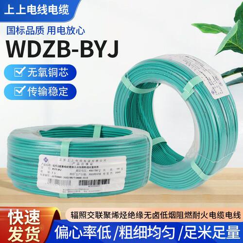 电缆WDZB-BYJ辐照交联聚烯烃绝缘无卤低烟阻燃可承受高温电缆