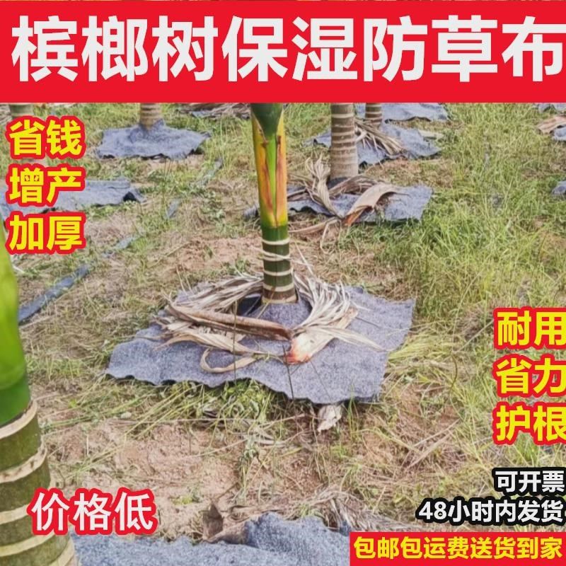 海南种槟榔树新型防草布保湿透气透H水防草土工布加厚防草地毯,农机/农具/农膜,农用防草地布/除草布,淘宝优惠券,粉丝福利购,淘宝优惠卷
