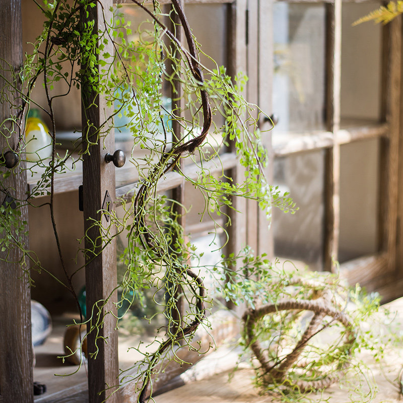 掬涵】黑骨芒 仿真花 绿植 缠绕藤蔓 蕨类植物 铁线蕨装饰造景