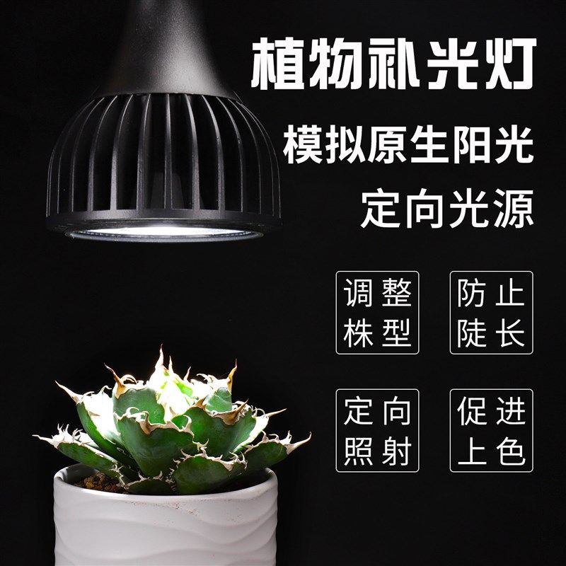 全光谱LED生长补光灯高显色聚光火锅店E27螺口灯泡