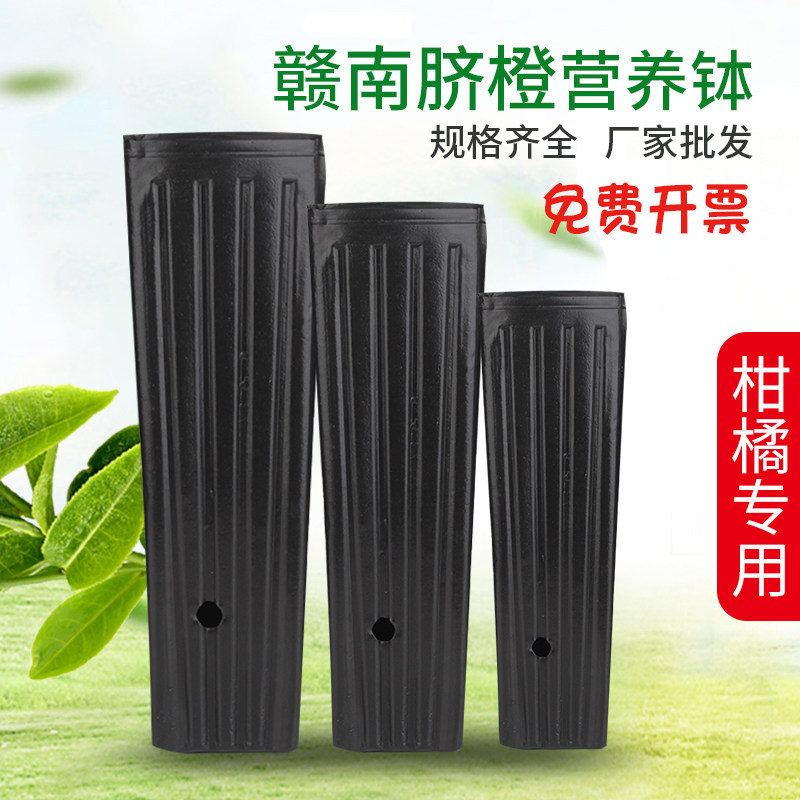 赣南脐橙育苗盆加高加厚营养钵橙子橘子苗营养杯黑色塑料育苗杯
