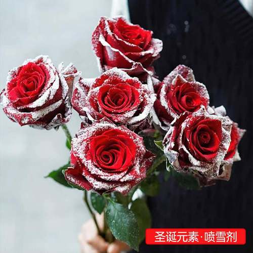 圣诞节仿真喷雪剂鲜花花束氛围感落雪泡沫雪花艺包装