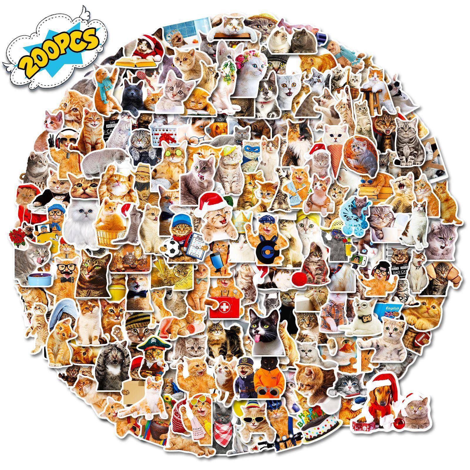 200张写实猫贴纸跨境森系写实小猫咪不干胶PVC防水笔记本贴纸