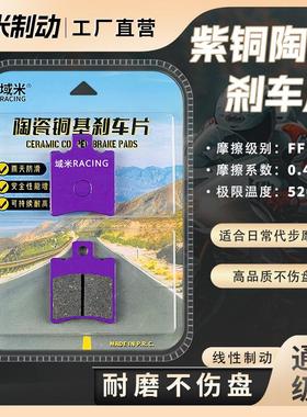 极核AE4MaxMY25 AE4Pro AE4SE AE4 AE4iPro 前后煞车片碟煞皮配件