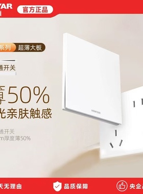 鸿雁超薄哑光磨砂开关插座面板一体家用多孔双控五孔暗装墙壁E9白