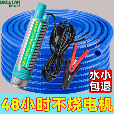 可携式抽油泵电动抽油泵棒124v伏小抽油神器柴油软管泵油抽子抽水