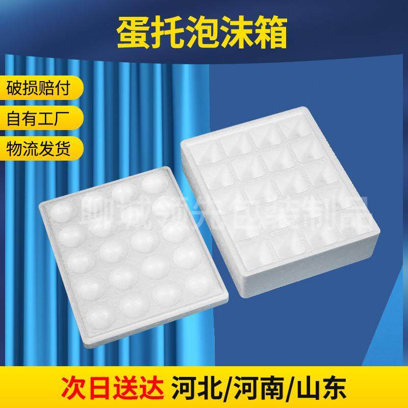 新款直销现货20枚泡沫箱蛋托物流快递防震防摔鸡蛋包装箱礼盒内衬