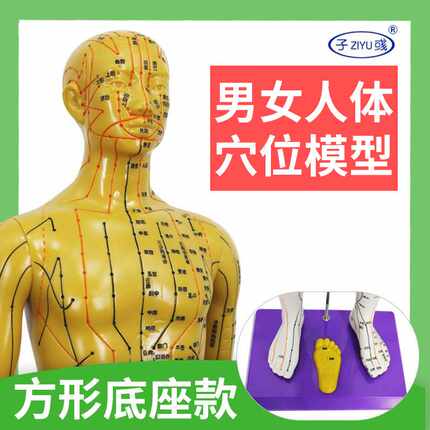 新款直销人体经络穴位模型 针灸铜色刻字无味十四经络男女模型8