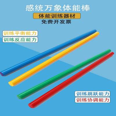 幼儿园儿童体能棒感统训练器材亲子互动玩具万象组合早教家用