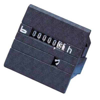 BAUSER计时器：Bauser 629.2R 24VDC 工业应用 原装进口