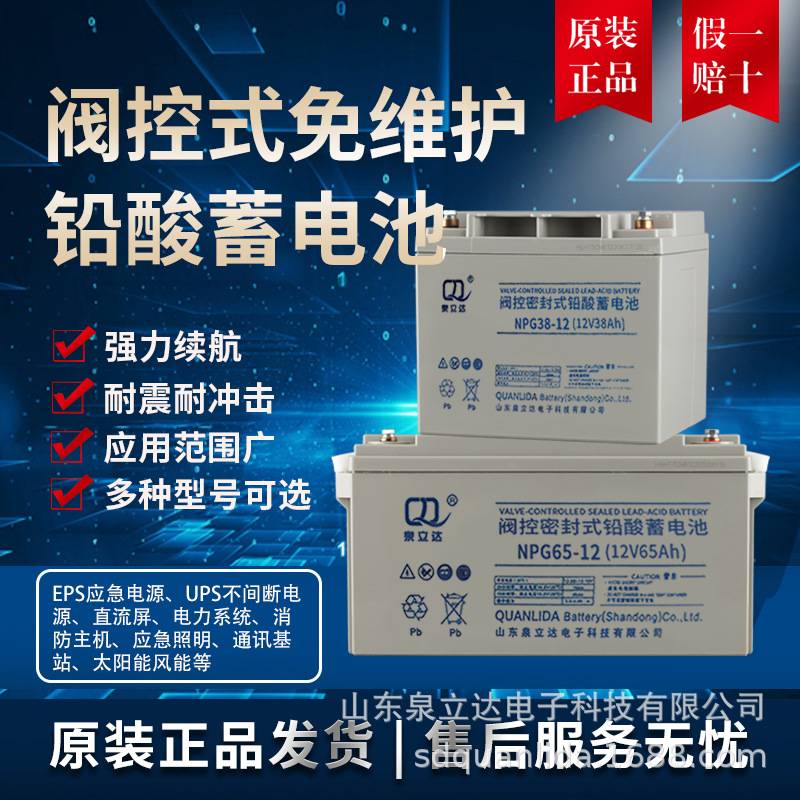 UPS不间断电源EPS直流屏用12V24AH40AH65AH100AH铅酸免维护蓄电池