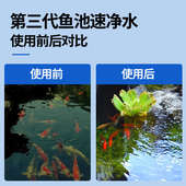 鱼池过滤器过滤系统锦鲤池塘大型过滤设备室外水池鱼池水循环系统