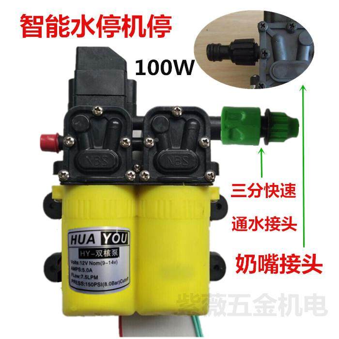 带压力开关关枪停机洗车泵果树喷药隔膜泵抽水增压电机12V双核泵,农用物资,苗木固定器/支撑器,淘宝优惠券,粉丝福利购,淘宝优惠卷