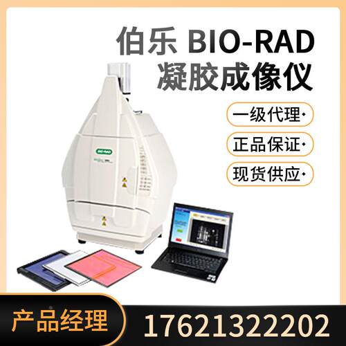 美国伯乐Bio-Rad凝胶成像系统凝胶成像仪现货一级