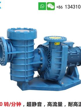 游泳池水泵吸污泵 爱克AQUA循环过滤泵ALB水疗泵5.5-15匹泳池泵