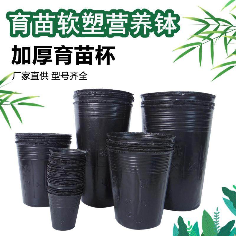 速发12x15cm农业林业专用大号pe塑料营养钵育苗花盆杯