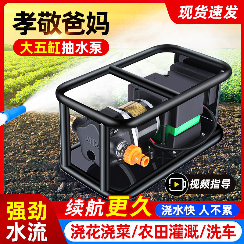速发抽水泵地菜农用浇地灌溉充家用菜浇农田 电式浇菜神器浇水机