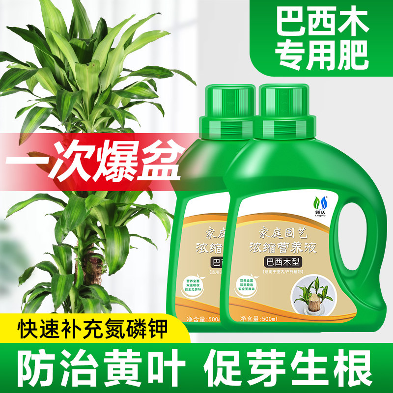 速发木专用营养液根料催芽绿叶壮园水溶肥家庭肥艺盆栽植物通用型