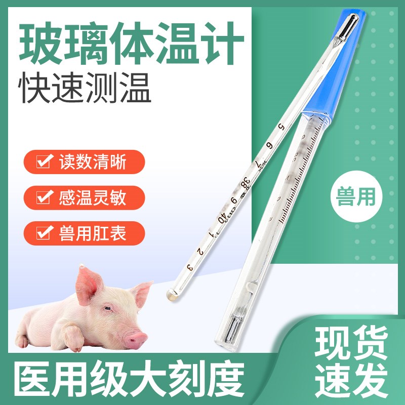 速发兽用体温狗猪牛羊犬猫计兔用体温表高精度精兽玻璃准用温温计