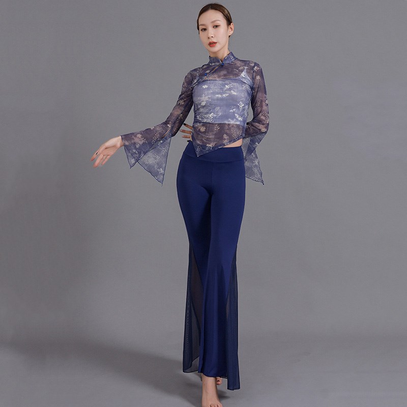 速发民族身韵纱衣袖典衣舞蹈服练功衣服古上舞纱衣东方舞上衣飘逸