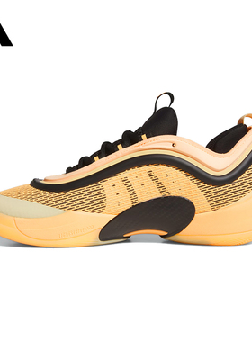 adidas阿迪达斯男女鞋D.O.N. ISSUE 6运动训练篮球鞋JI1549