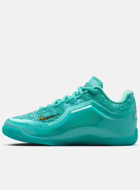 NIKE耐克大童鞋LEBRON XXIII HTK运动训练篮球鞋IV4795-300