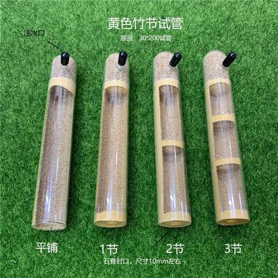 适配黄色竹节具支试管 新后巢穴蚁庄蚂蚁工坊总动员玻璃材质混凝