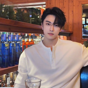 高级感上衣休闲内搭打底衫 美式 25年春季 T恤男款 亨利领华夫格长袖