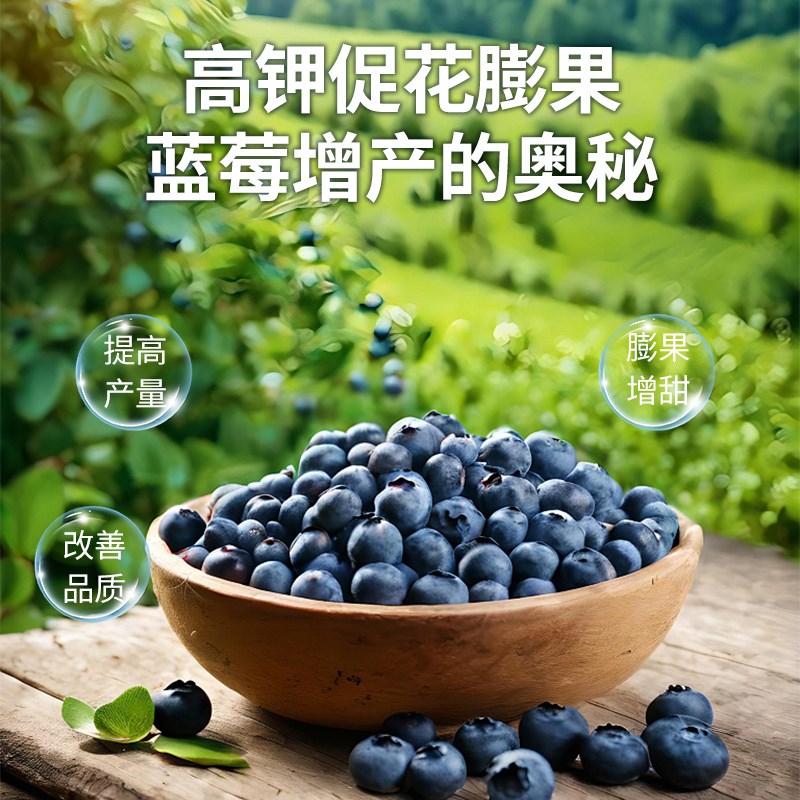 德沃多蓝莓专g用硫酸钾水果蔬菜通用型肥料水溶肥氮磷钾复合肥钾