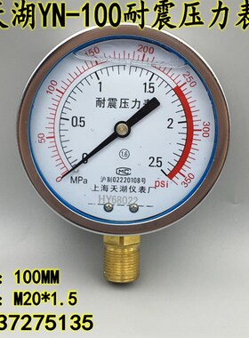 天湖YN-100耐震抗震压力表0-1 1.6 25 40mpa油压液压真空表-0.1-0