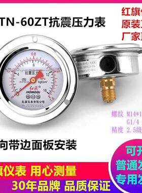 厂家直销中国红旗YTN60ZT耐震防震抗震轴向带边背接面板压力油表