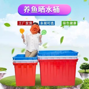 养鱼晒水桶加厚水箱大号塑料食品级龟箱水产养殖收纳储水胶桶耐用