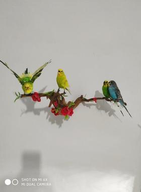 真鹦鹉标本 家居摆设 办公室工艺品装饰摆件