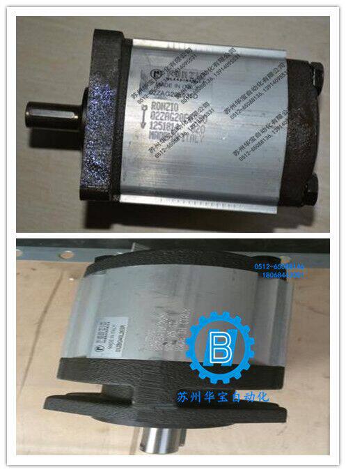 意大利RONZIO罗茨齿轮泵FDRA010484WVR160原装正品，拍前请询价