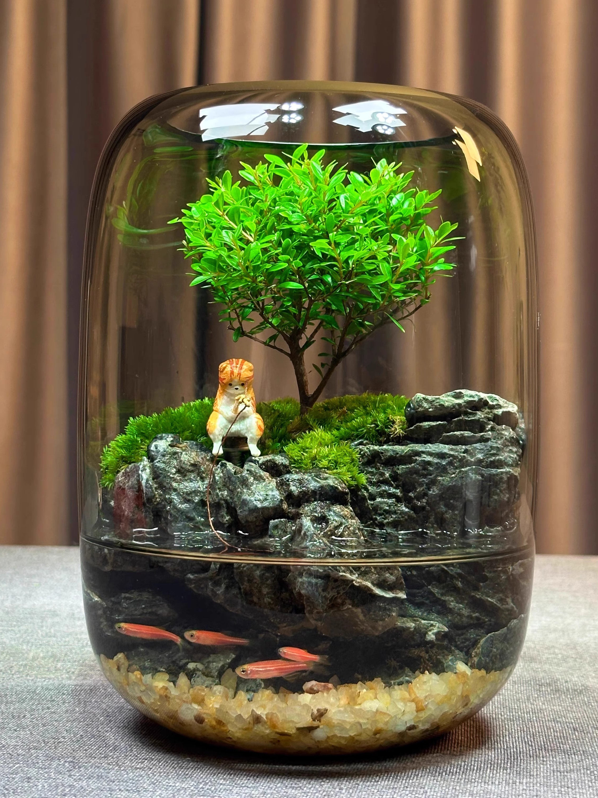 【年年有鱼】创意苔藓微景观办公室生态缸鱼缸桌面生态瓶摆件成品