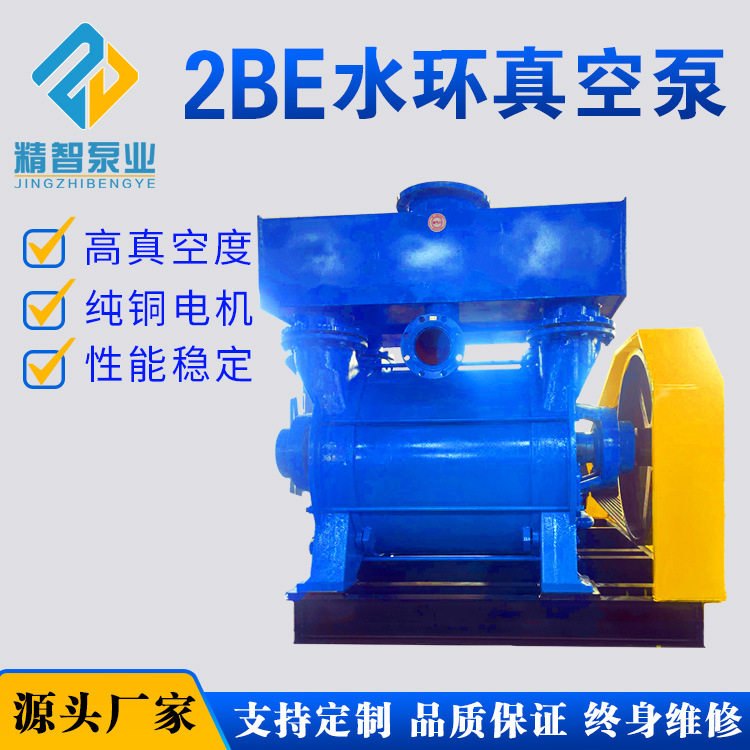 淄博厂家直供2BEC水环式真空泵高真空抽气量大造纸真空脱水专用