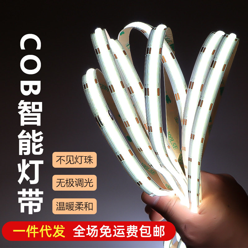 涂鸦智能灯带语音凌动按键低压24V三色贴片无级调光氛围线性灯条