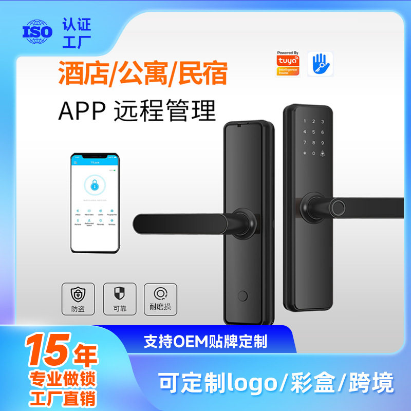 跨境密码锁室内门锁木门/涂鸦指纹锁电子锁防盗门智能锁指纹解锁