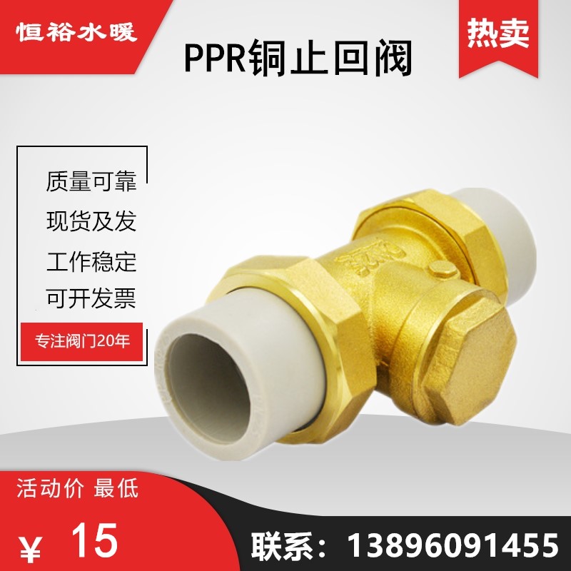 PPR卧式止回阀塑料灰色单向水表热熔防倒流直通式活接逆止阀4分20