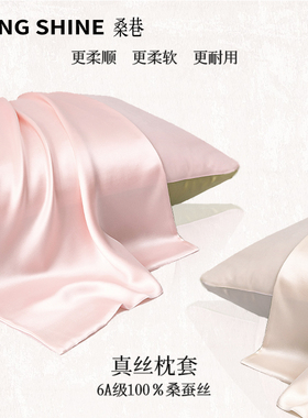 桑巷sangshine小众设计 双面真丝枕套6A19姆米丝滑枕头套桑蚕丝