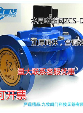 铸铁法兰电磁阀 灌溉水用220V24V常闭电磁阀ZCS DF1DN40506580100