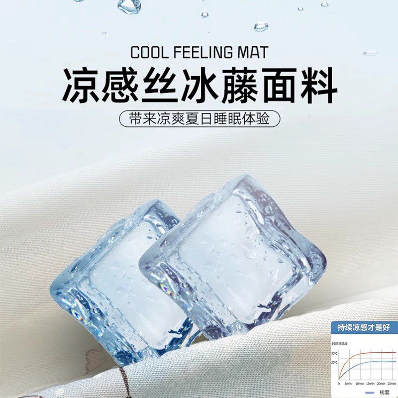 夏季冰丝枕套一对装48x74儿童冰藤凉席枕头套单个枕芯内胆套家用