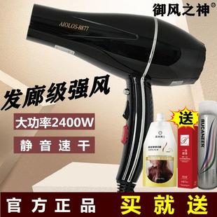 国宏电吹风机御风之神大功率速干理发店发型师专用家用护发冷热风