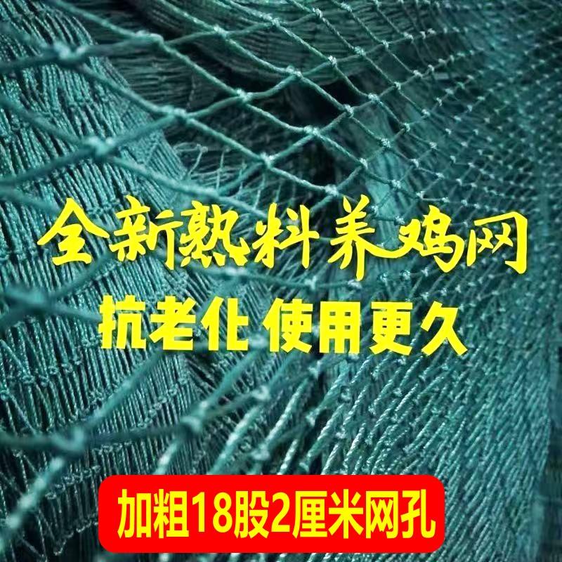 养鸡网养殖围网拦鸡网尼龙网安全网隔离网菜园围栏网聚乙烯防护网