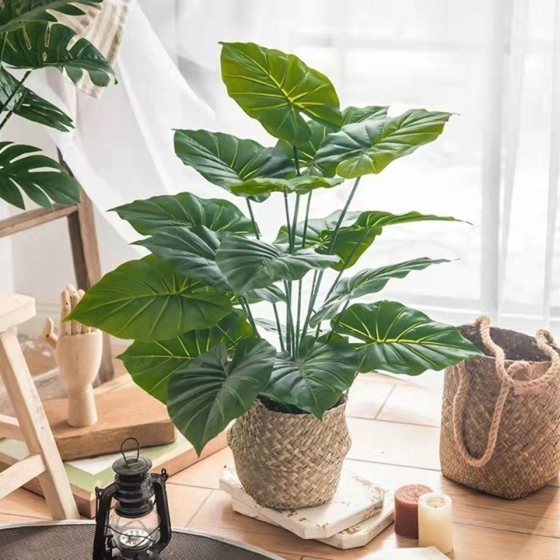 假绿植风客厅龟背竹小盆栽摆件装饰花花摆Z设代发代发