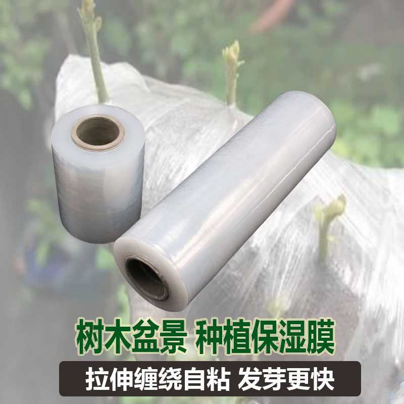 树木盆景生桩保湿膜植物保温膜保鲜膜嫁接膜包树杆缠绕膜