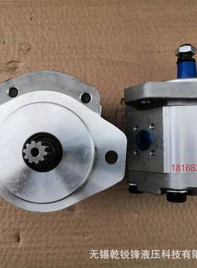 CBW-F304-ALP齿轮油泵齿轮泵高压齿轮泵