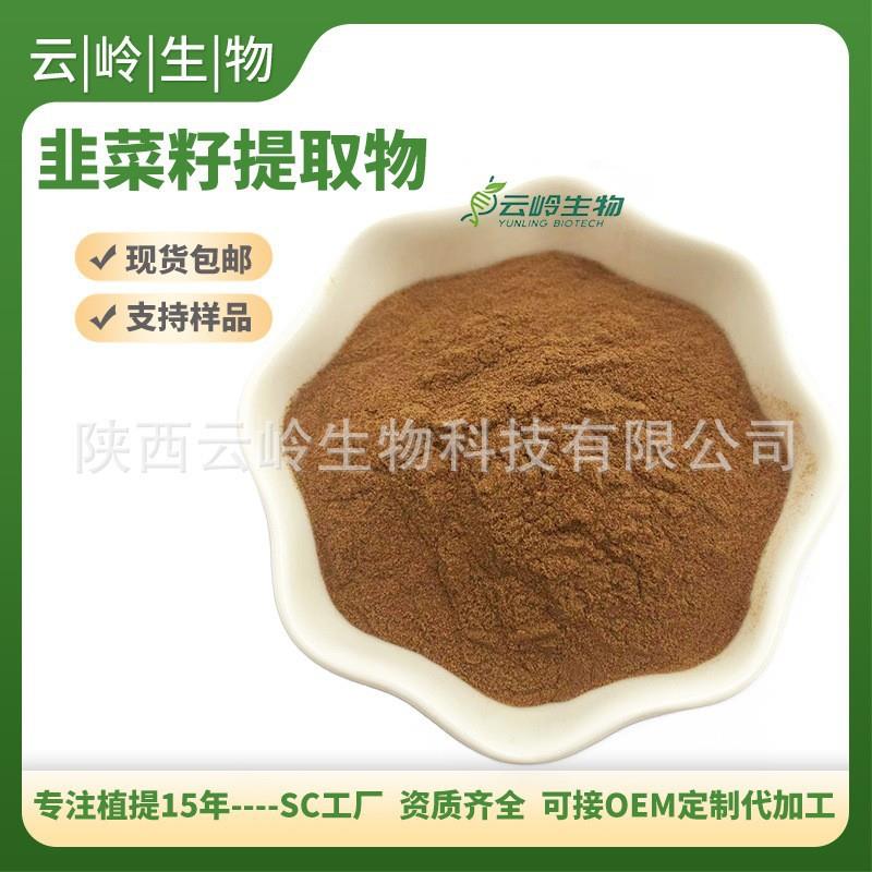 韭菜籽提取物10:1韭菜籽粉比例提取物现货供应
