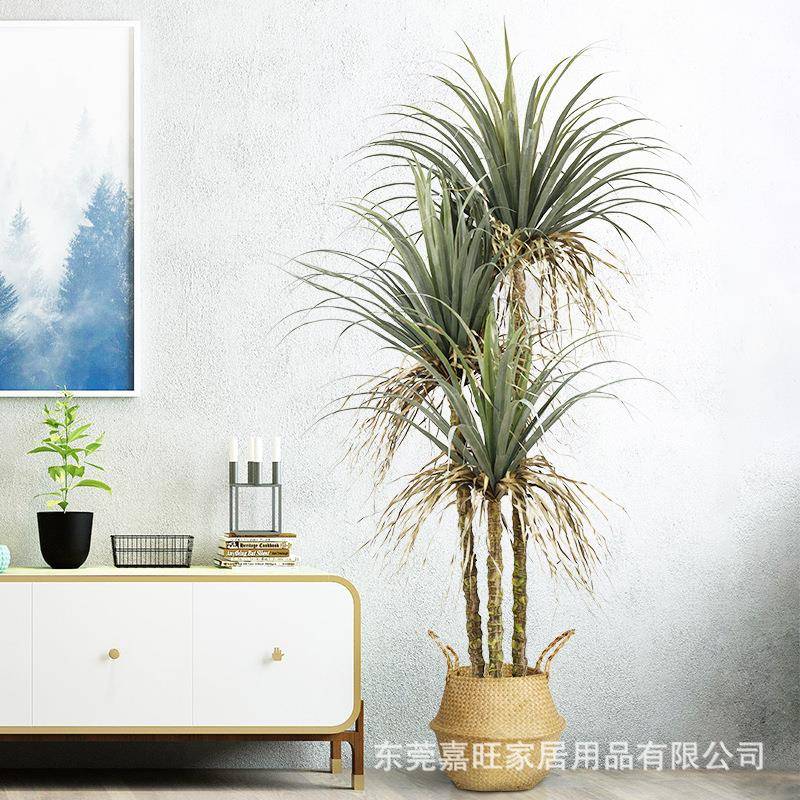欧式风仿真植物迷你龙血铁树盆栽假多杆丝兰树落地装饰花北欧绿植