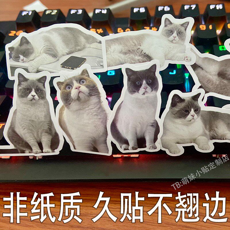 宠物自制贴纸定制照片贴画大头贴异形来图订制diy防水抠图打印